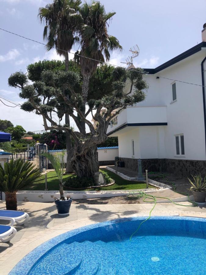VILLA LUDO a ZAMBRONE TROPEA Zambrone Exterior foto